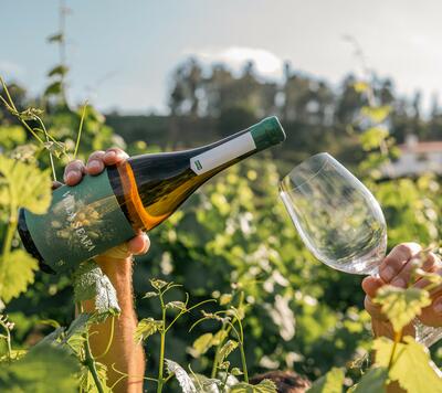 Villa Seara - Vertical Tasting 