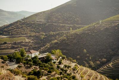 Quinta de Nápoles - Visita & Prova Niepoortland