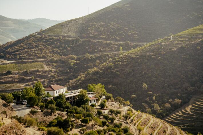 Quinta de Nápoles - Visita & Cata Niepoortland