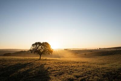 Authentic Alentejo