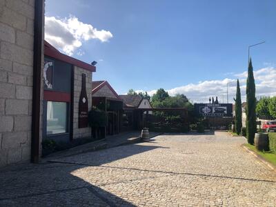 Pedra Cancela – Visit & Essential Tasting