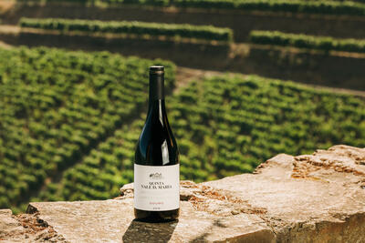 Quinta Vale D. Maria - Prova Douro Clássico
