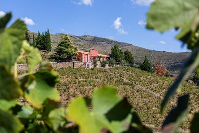 Quinta Vale D. Maria - Prova Expressões do Douro