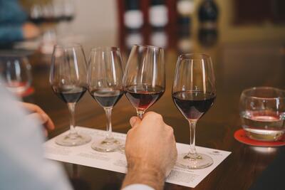 Caves Taylor’s - Masterclass Classic Vintages