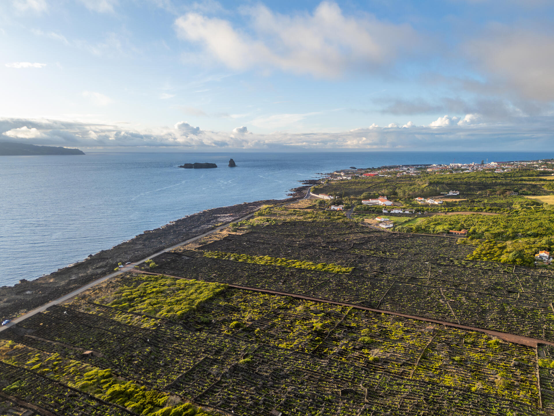 Azores