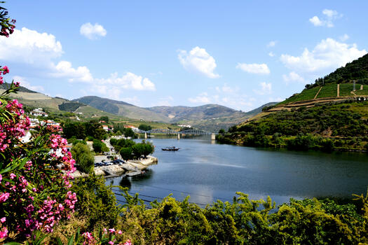 Douro Valley Tour
