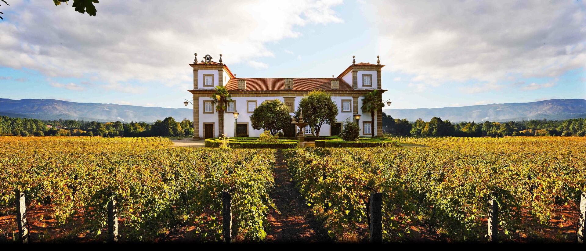 Vinhos Verdes
