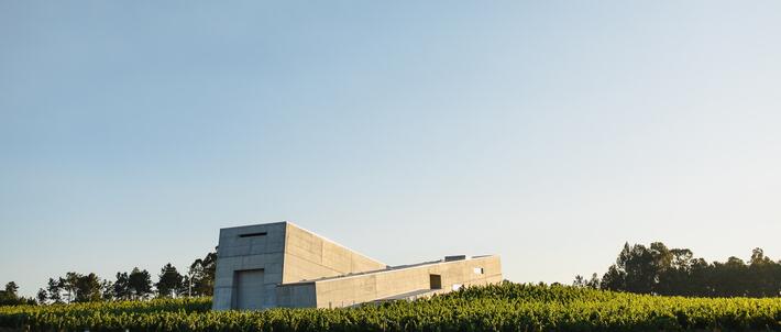 Caminhos Cruzados - Visita & Cata Premium