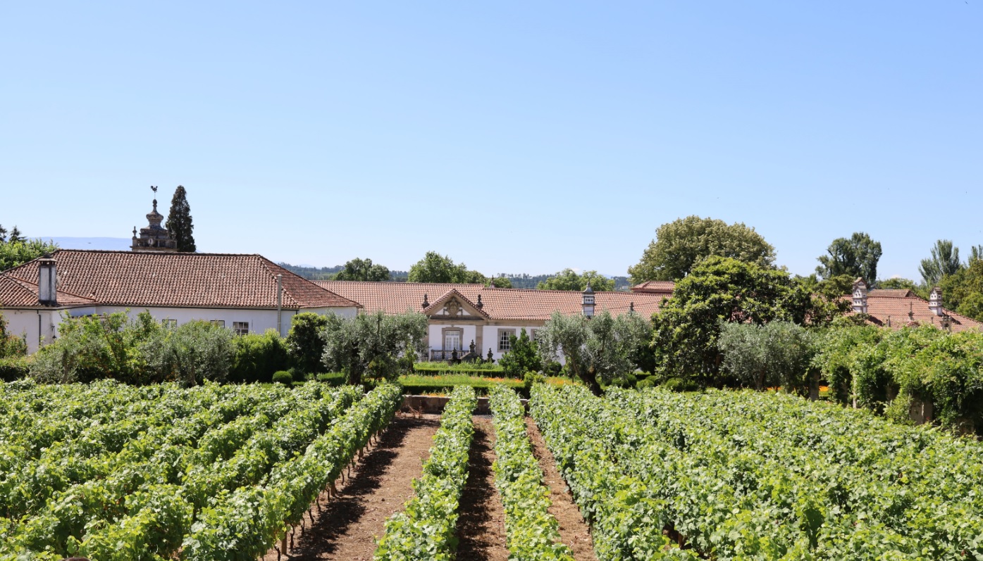 Santar Vila Jardim – Tour, Tasting & Appetisers - Portugal By Wine ...