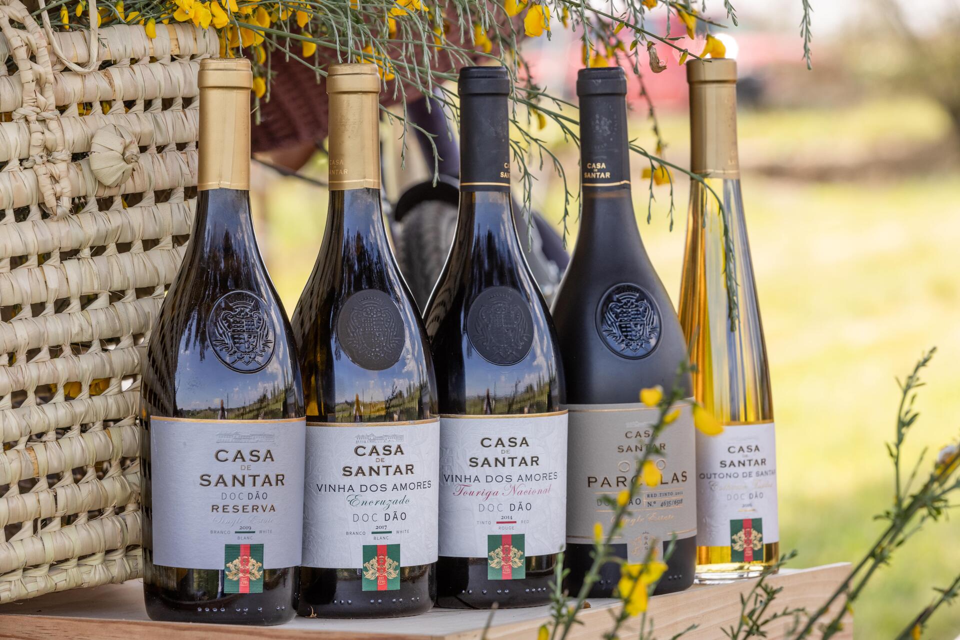 19|90 Wine Center Santar – 3 Terroirs Prestige - Portugal by Wine ...