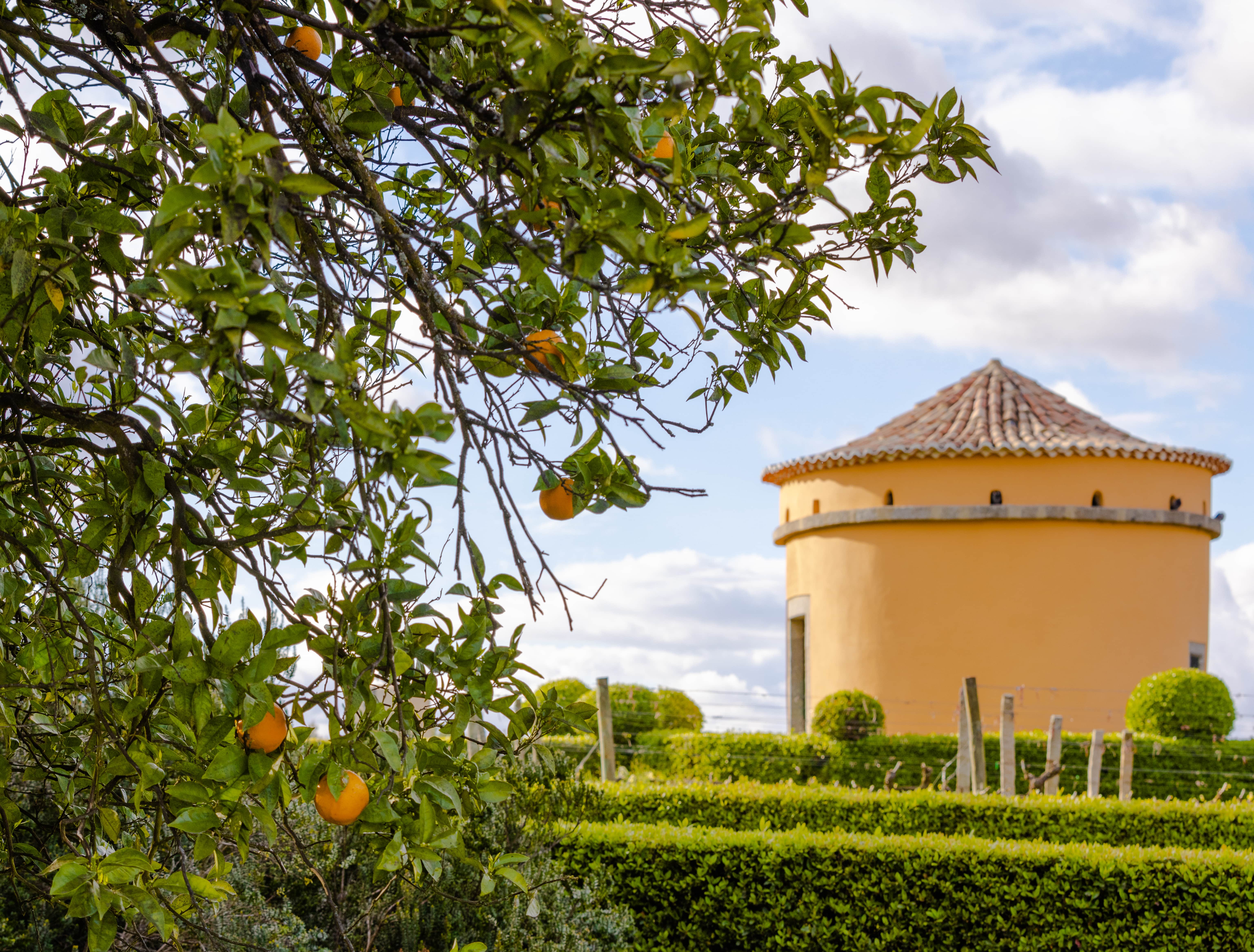 19|90 Wine Center Santar–Santar Exclusive Vintage - Portugal by Wine ...